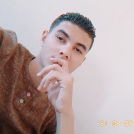 الصورة الشخصية