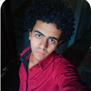 الصورة الشخصية