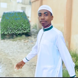 الصورة الشخصية