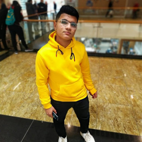 الصورة الشخصية