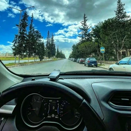 الصورة الشخصية