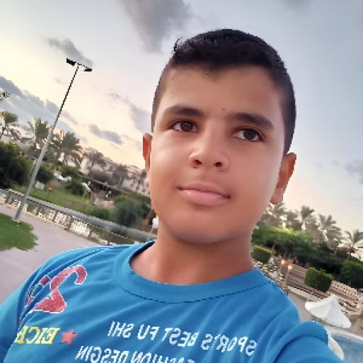 الصورة الشخصية