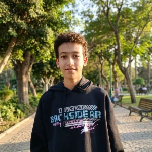 الصورة الشخصية