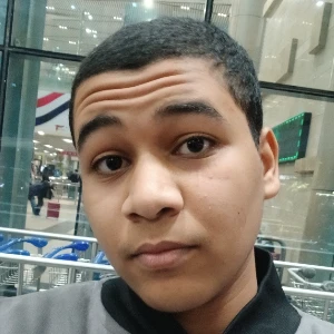 الصورة الشخصية