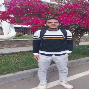 الصورة الشخصية