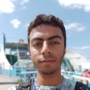 الصورة الشخصية