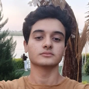 الصورة الشخصية