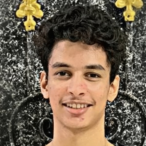 الصورة الشخصية