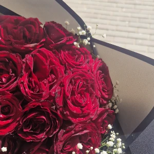 الصورة الشخصية