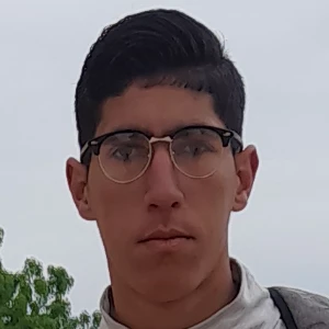 الصورة الشخصية