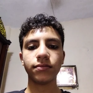 الصورة الشخصية