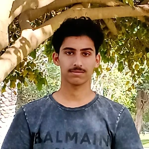 الصورة الشخصية