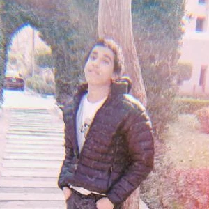 الصورة الشخصية