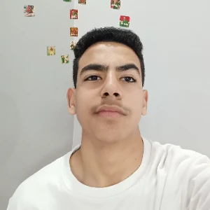 الصورة الشخصية