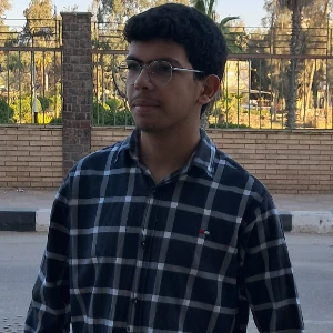 الصورة الشخصية