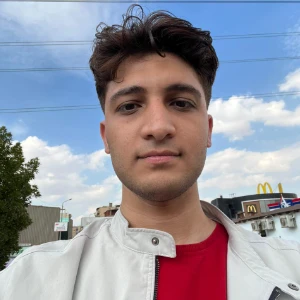 الصورة الشخصية