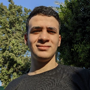 الصورة الشخصية