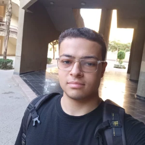 الصورة الشخصية