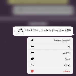 الصورة الشخصية