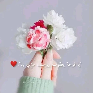 الصورة الشخصية