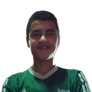 الصورة الشخصية