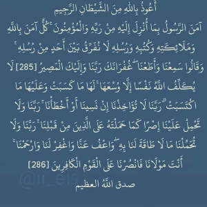 الصورة الشخصية
