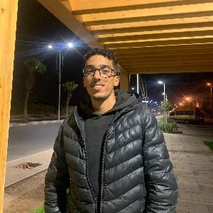 الصورة الشخصية
