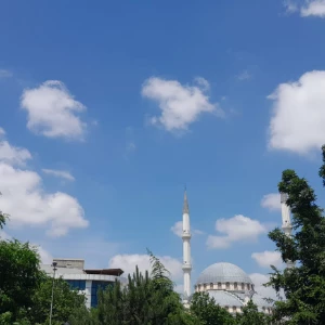 الصورة الشخصية