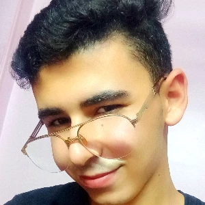 الصورة الشخصية