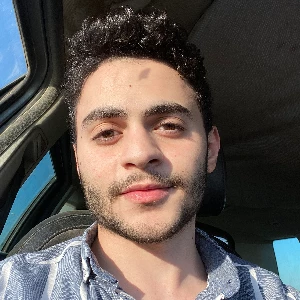 الصورة الشخصية