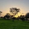 صورة صاحب مقدم العرض