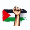 Ahmed Hesham
