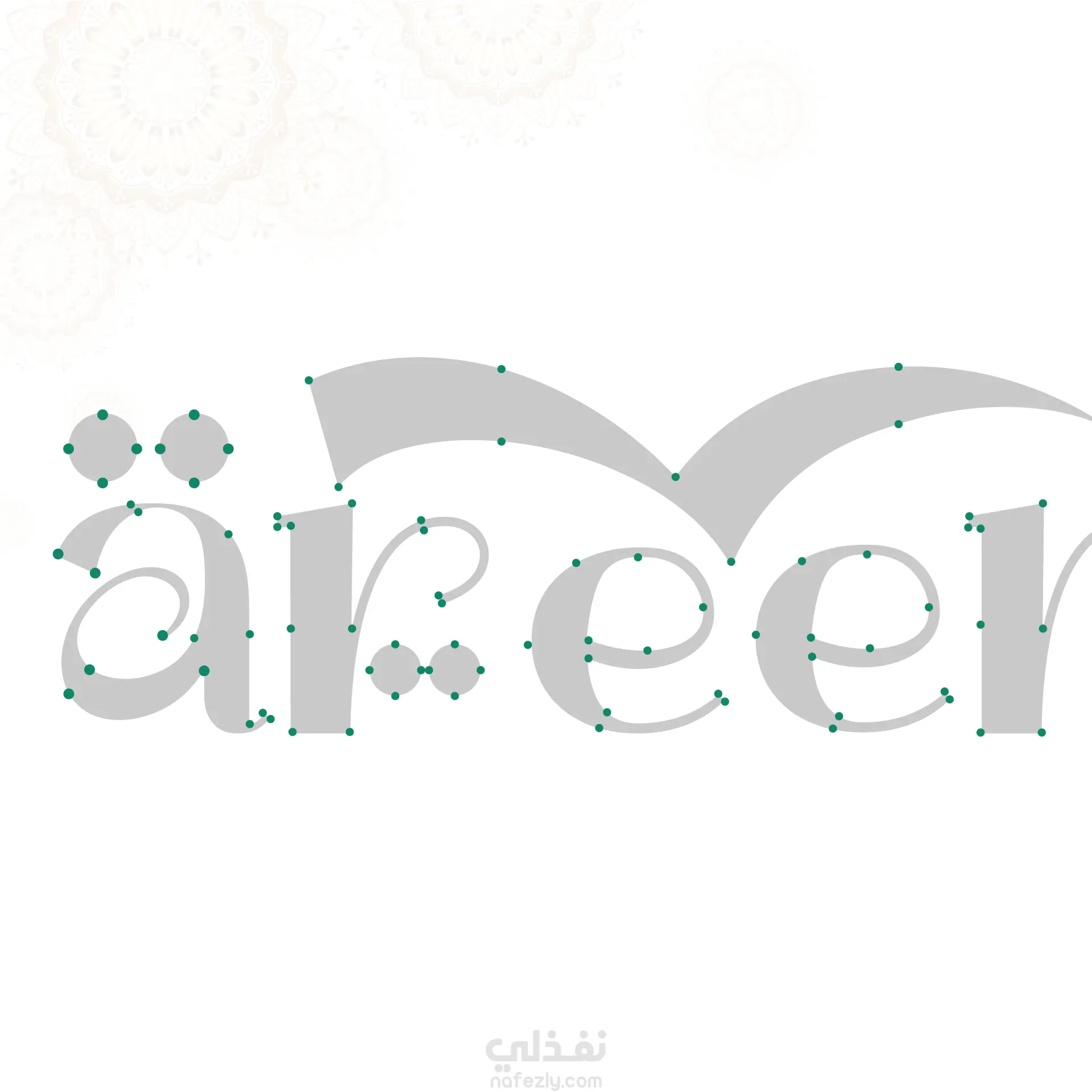Bareera Academy Logo & Brand Identity