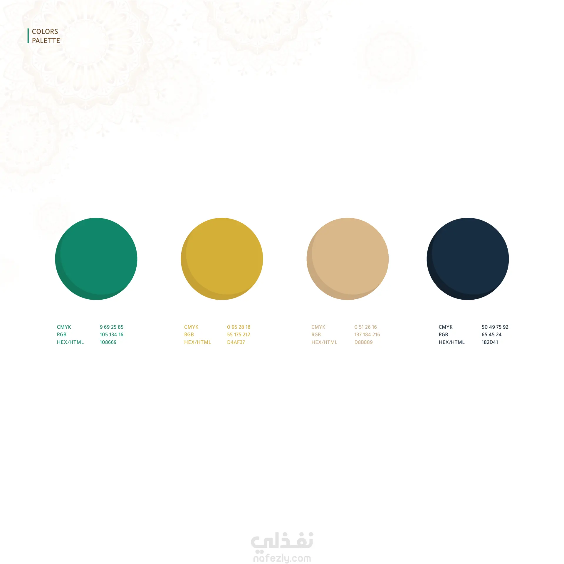 Bareera Academy Logo & Brand Identity