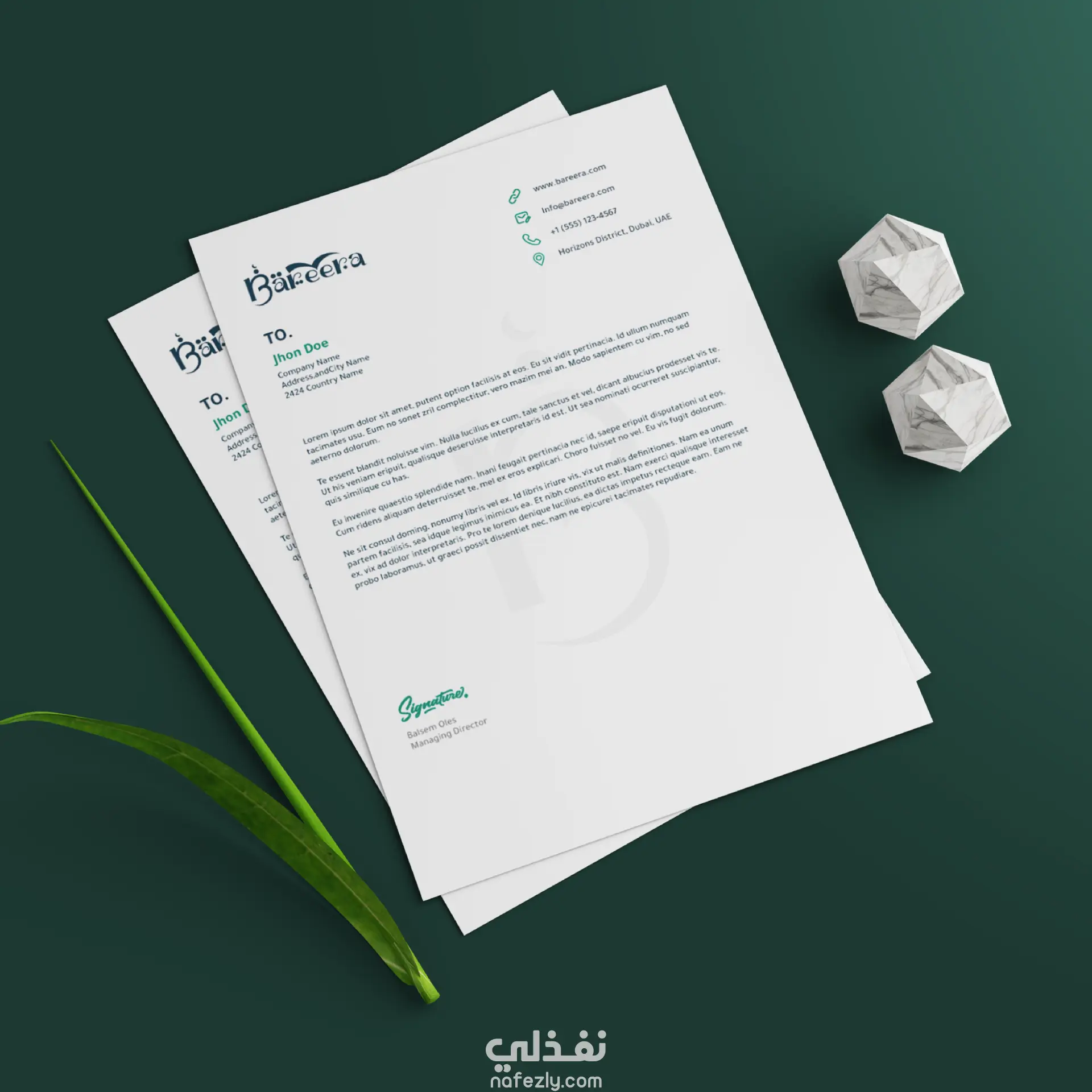 Bareera Academy Logo & Brand Identity