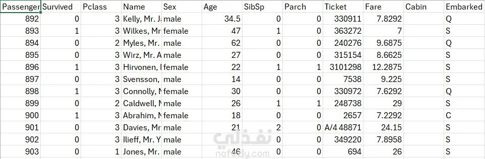 إدخال بيانات في Excel بدقة وسرعة