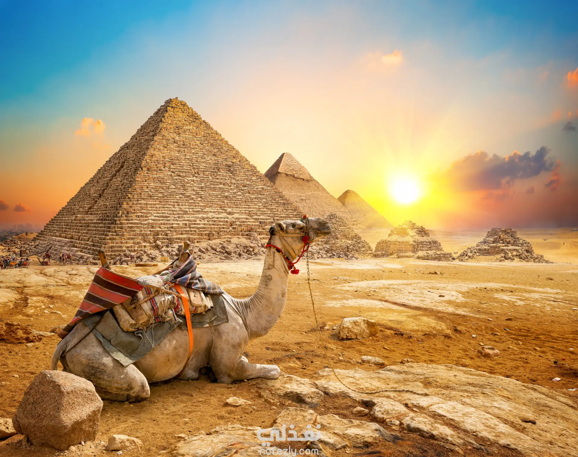 زور مصر – رحلتك تبدأ الآن (تصميم فيديو موشن جرافيك سياحي)