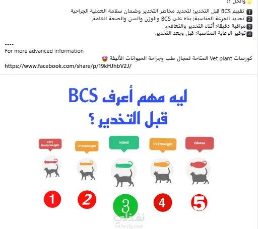 تسويق بالعمولة