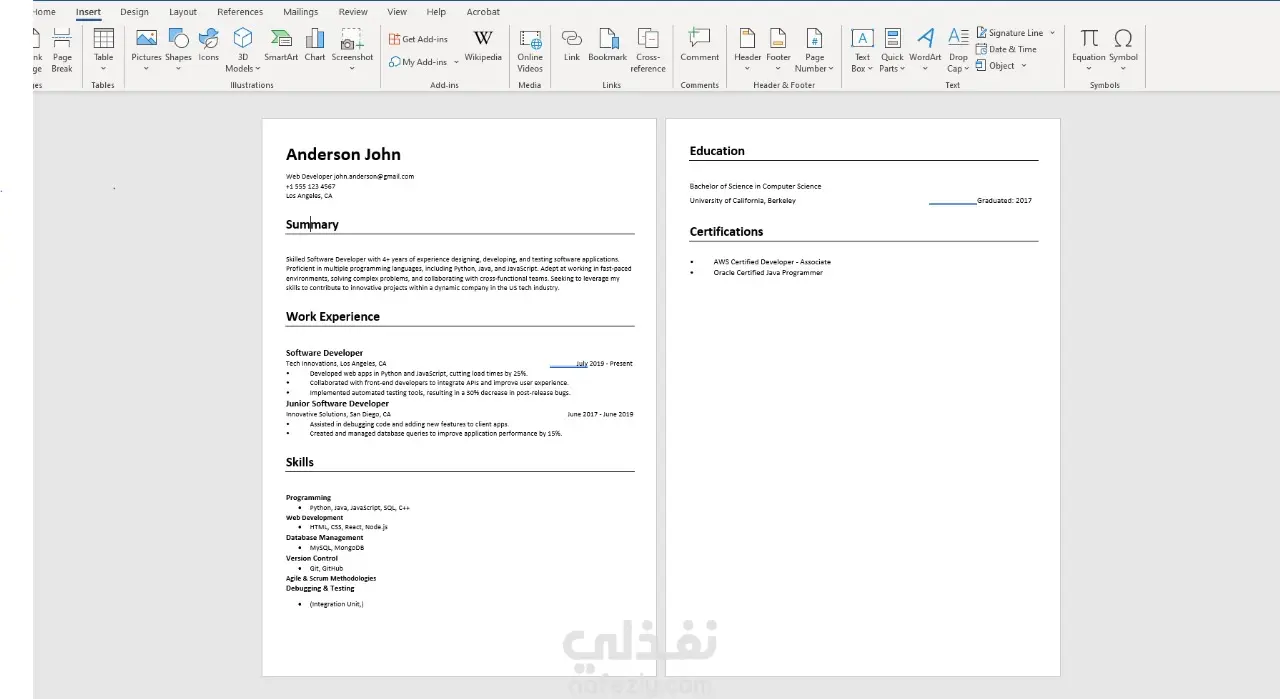 professional cv and resume