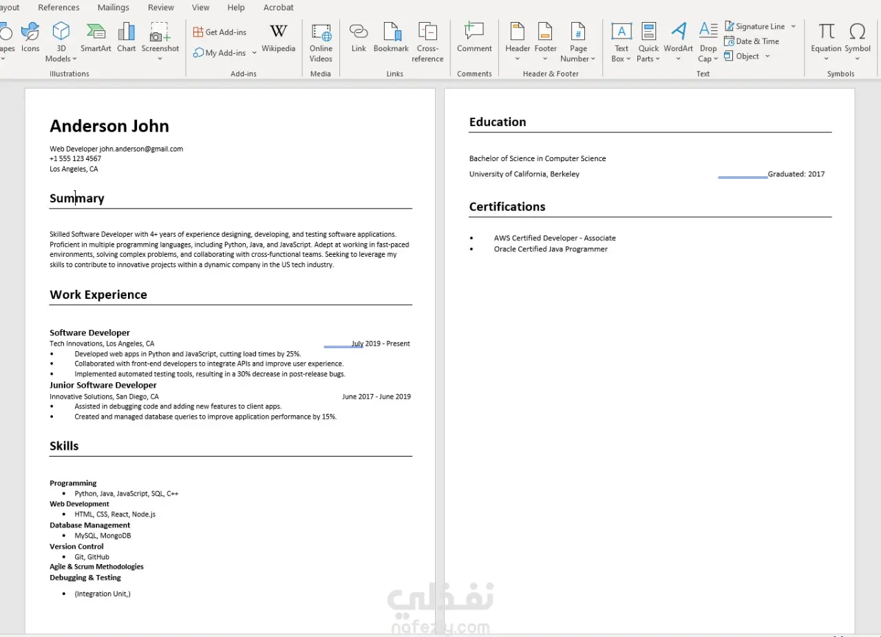 professional cv and resume