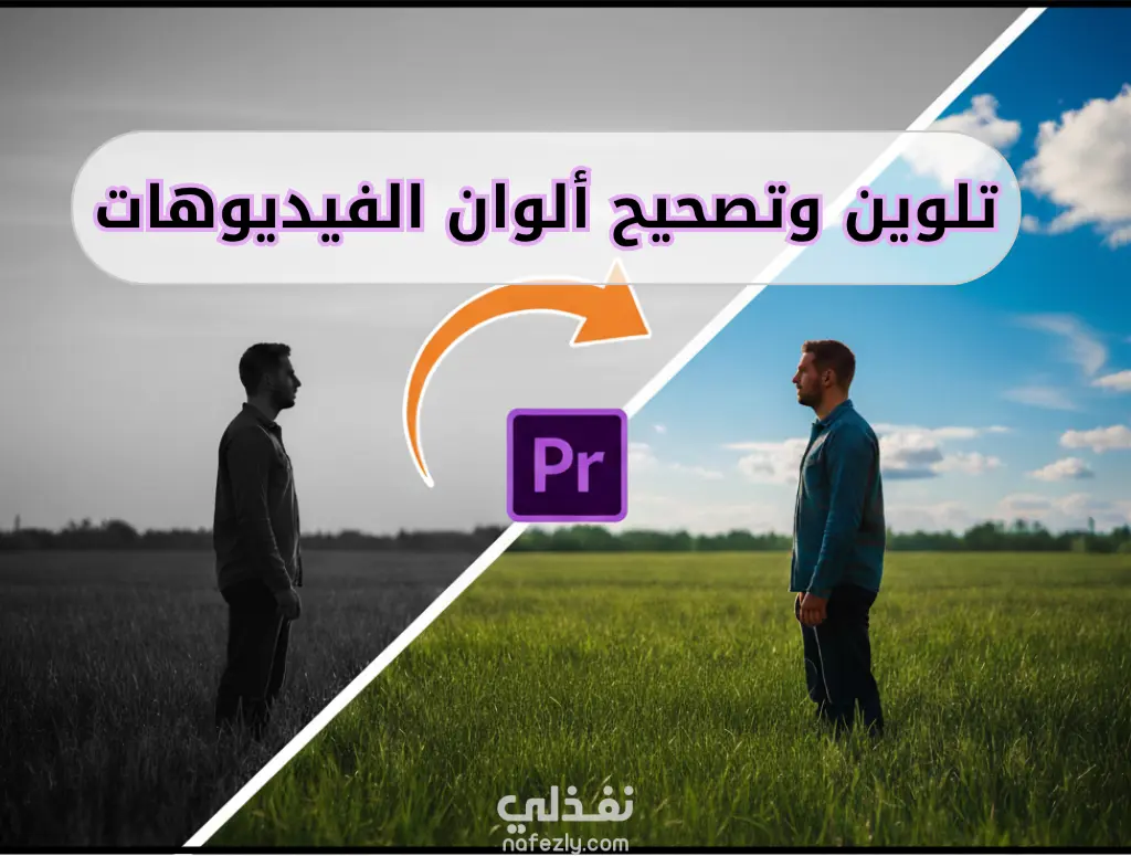 تلوين وتصحيح الوان  فيديو خام