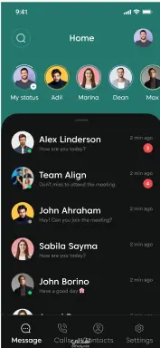 Chronicare UI ,Chatbot Conversation UI