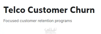 Telco Custmer Churn Dataset