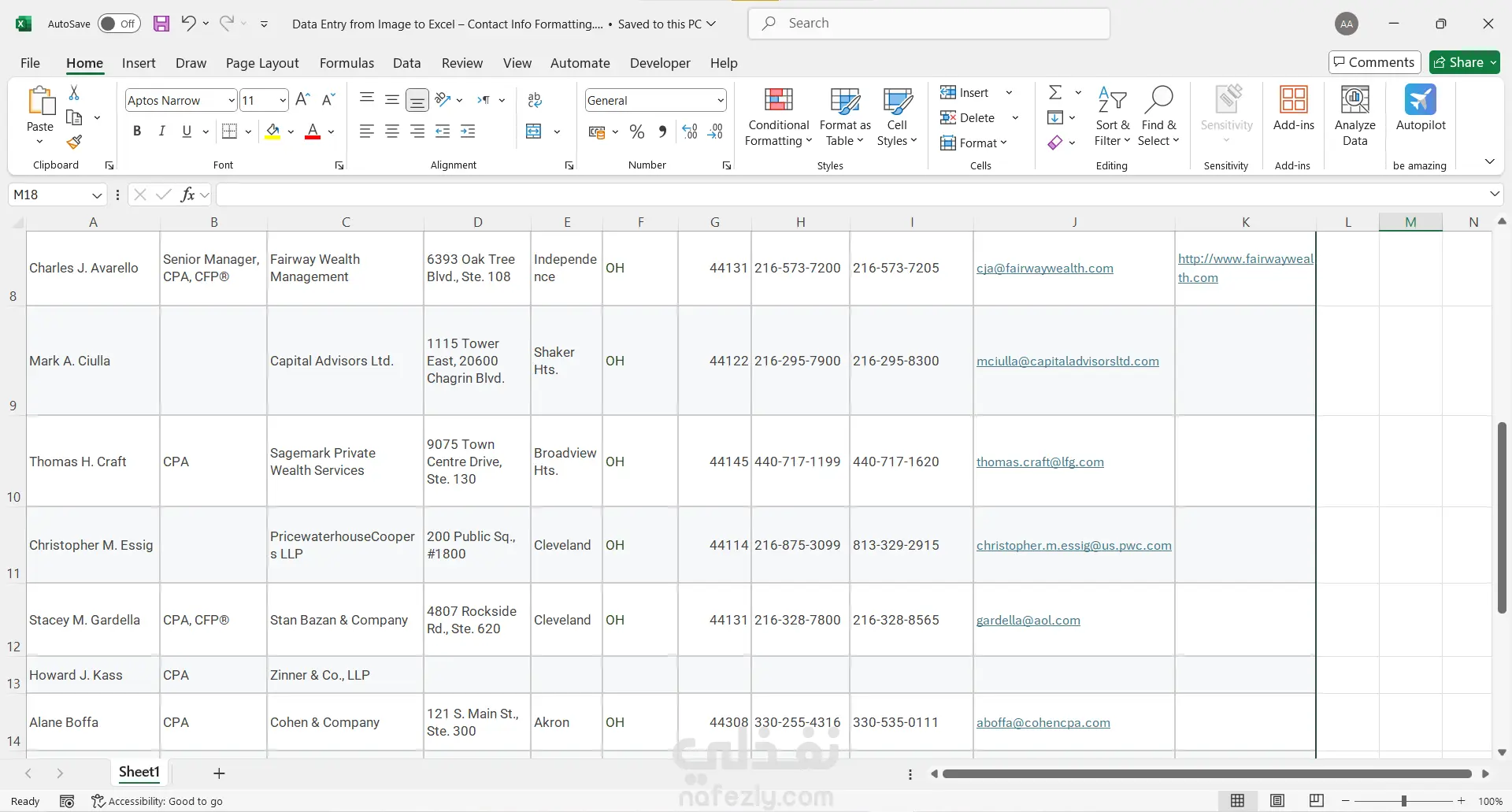 تفريغ وتنسيق بيانات دليل أعمال من صورة إلى ملف Excel احترافي