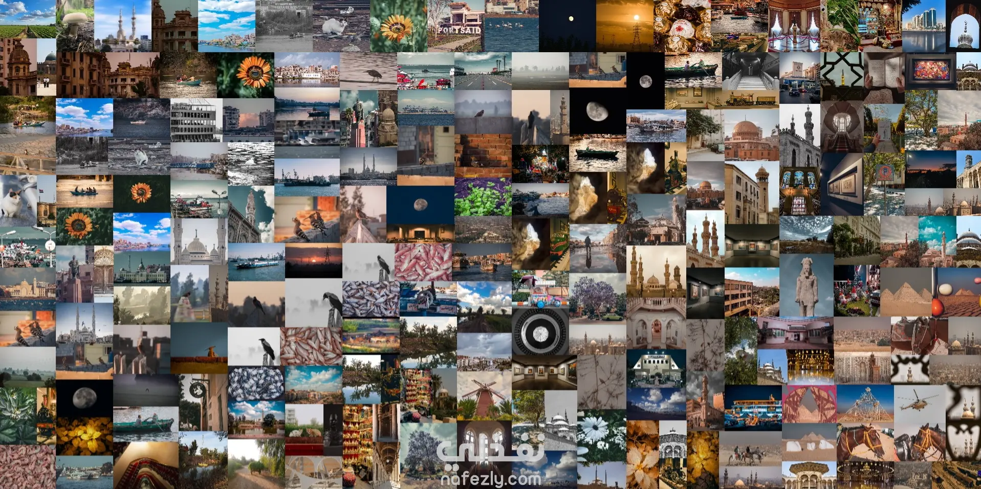 تعديل علي الصور بإستخدام Lightroom