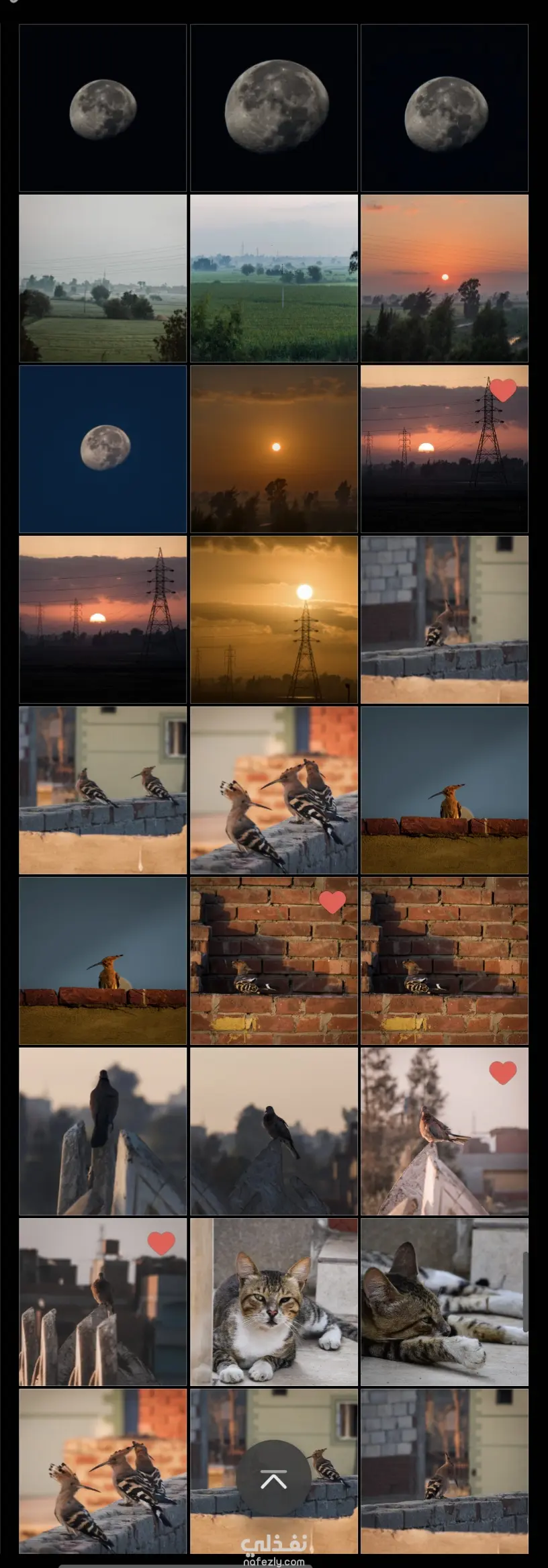 تعديل علي الصور بإستخدام Lightroom