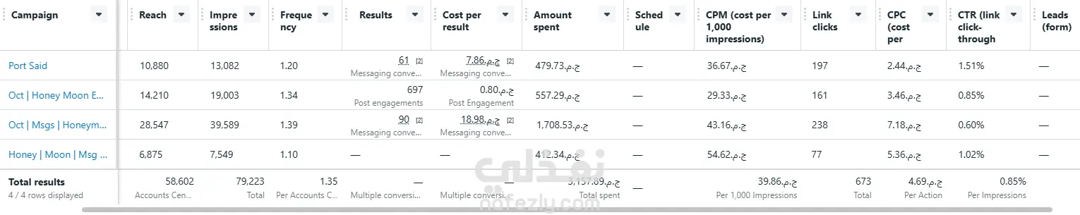 تقرير حملات اعلانية