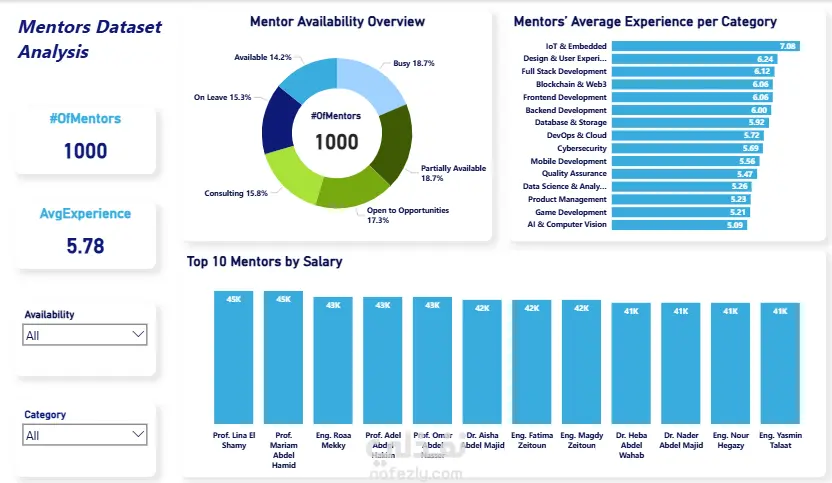 Mentors Data Analysis