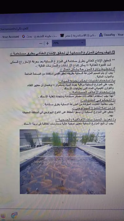 بحث عن الإستزراع السمكي في مصر