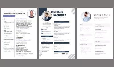 سيرة ذاتية احترافية